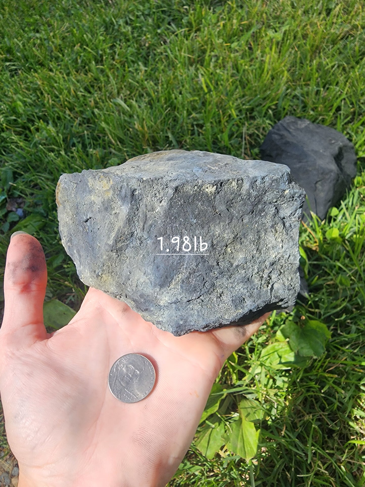 Shungite Large Rough stone